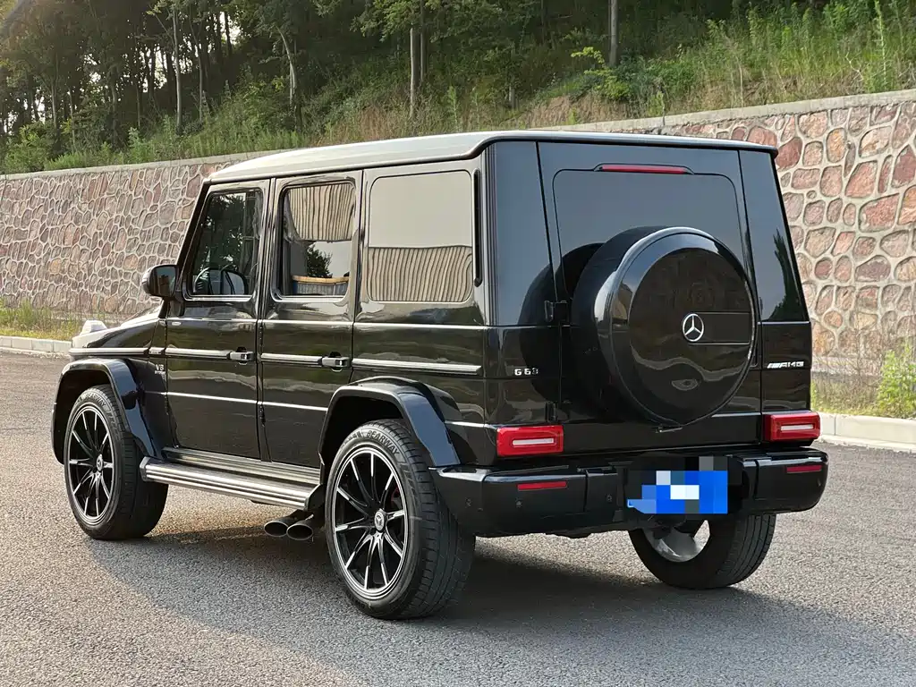 Mercedes-Benz G-Class G 2010 G 500