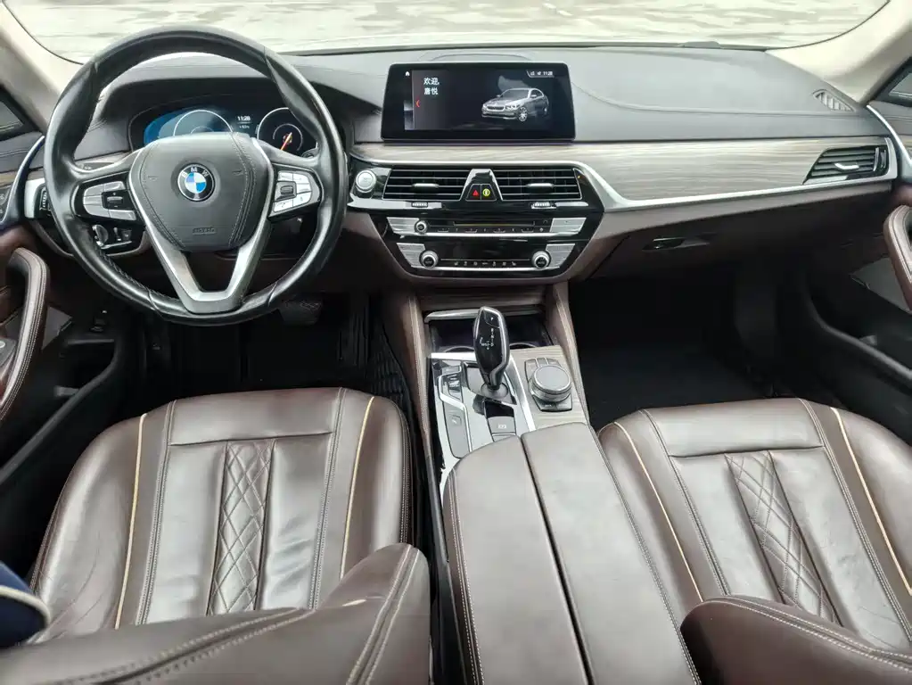 BMW 5 SERIES NEW ENERGY