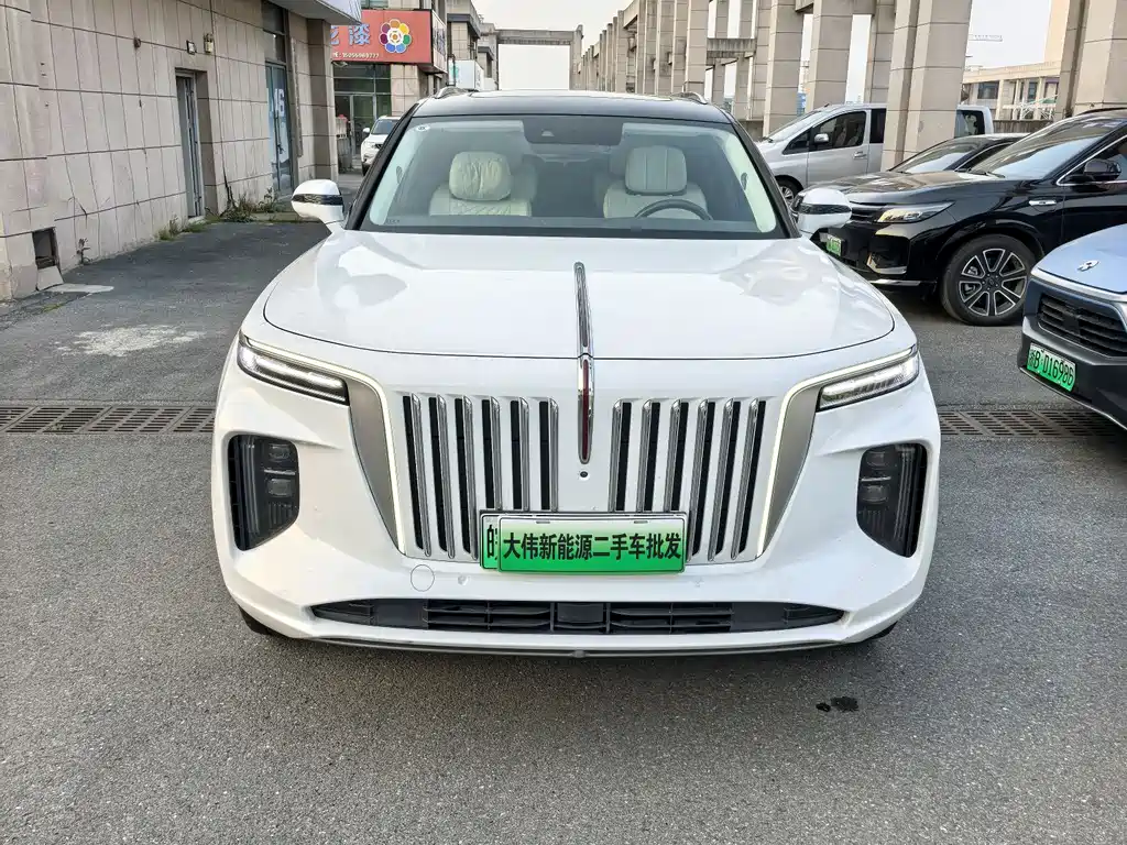 Hongqi E-HS9 2021 460km мест