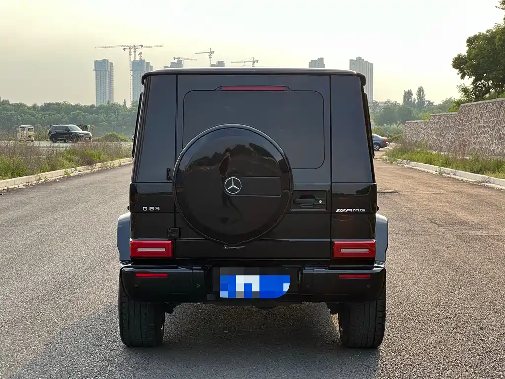 Mercedes-Benz G-Class G 2010 G 500