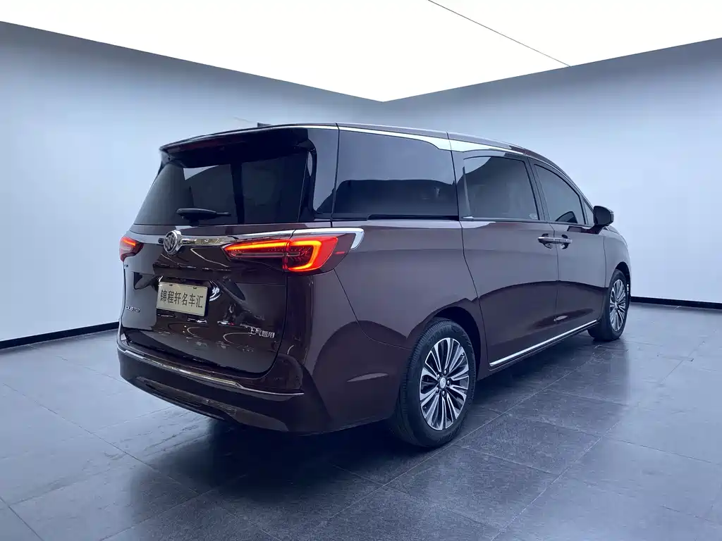 Buick GL8 2023 ES Luxury