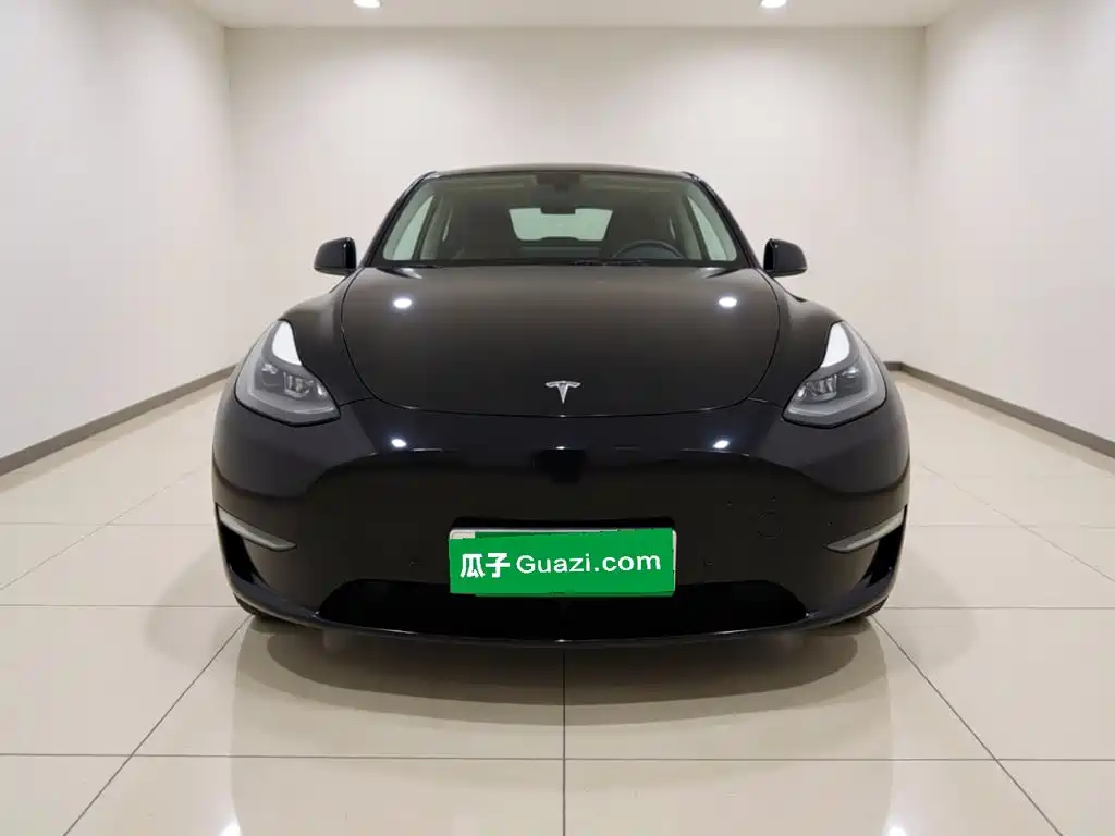 Tesla Model Y — миниатюра 2