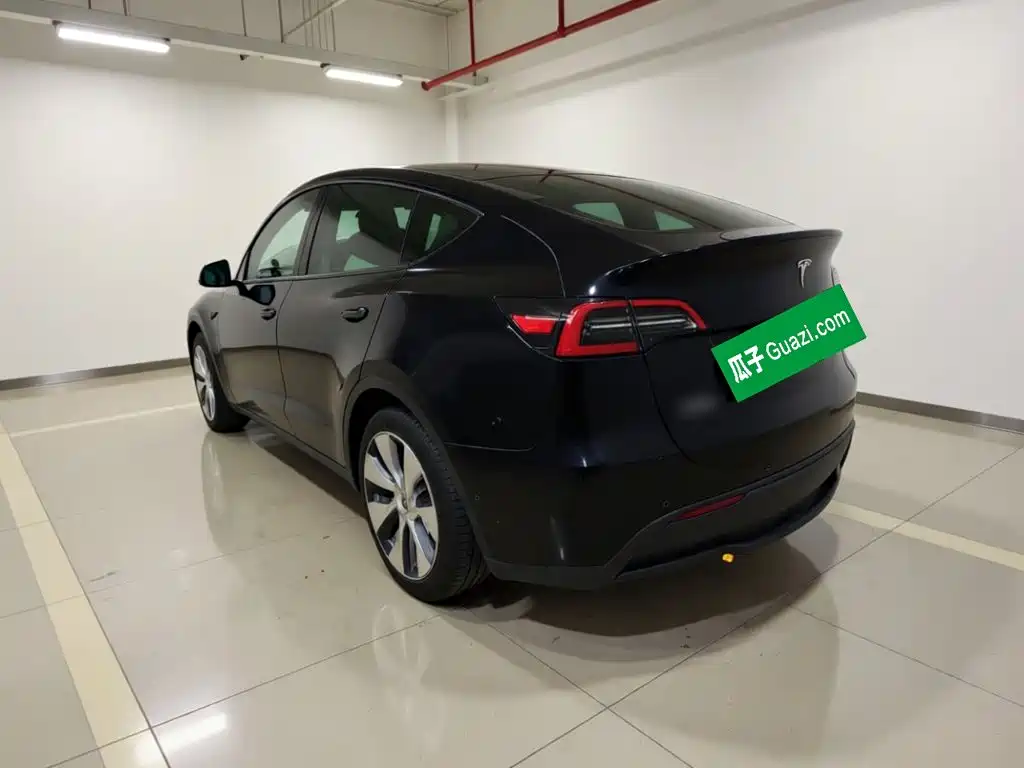 Tesla Model Y — миниатюра 4