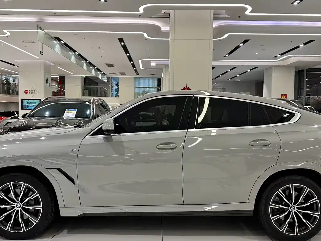 BMW  X6