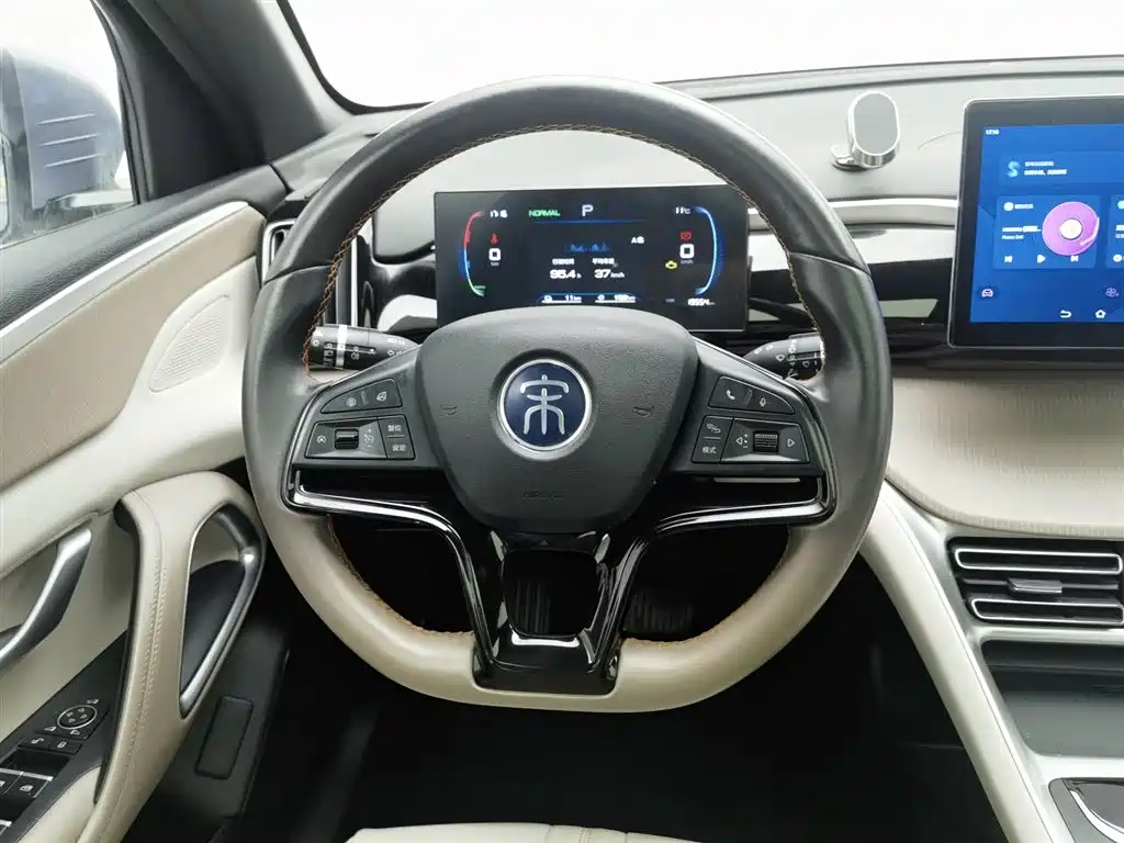 BYD SONGJIANG NEW ENERGY