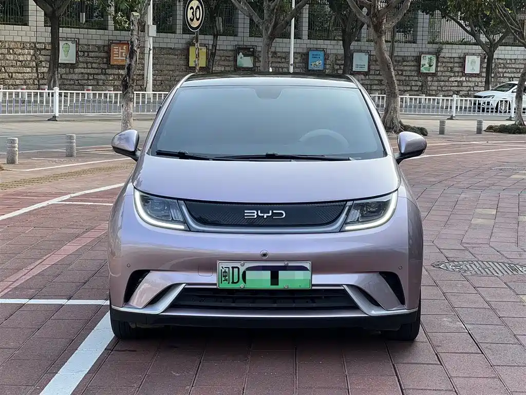 BYD DOLPHIN