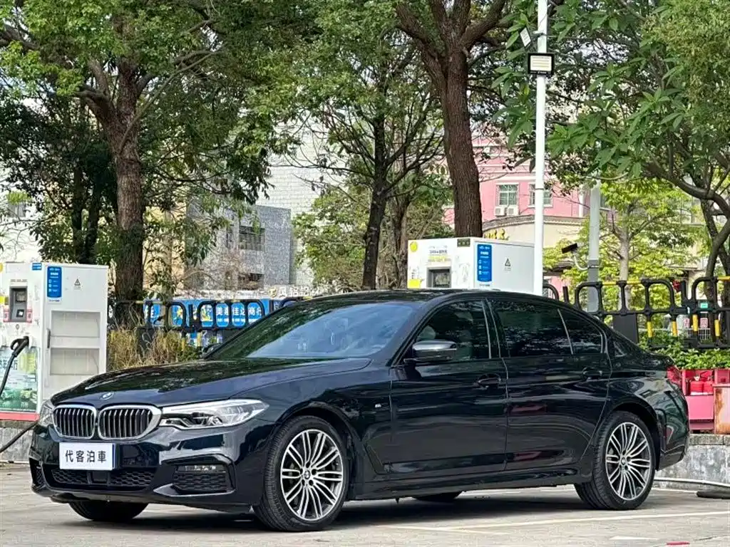 BMW 5 Series 5 2019 530Li Premium Luxury