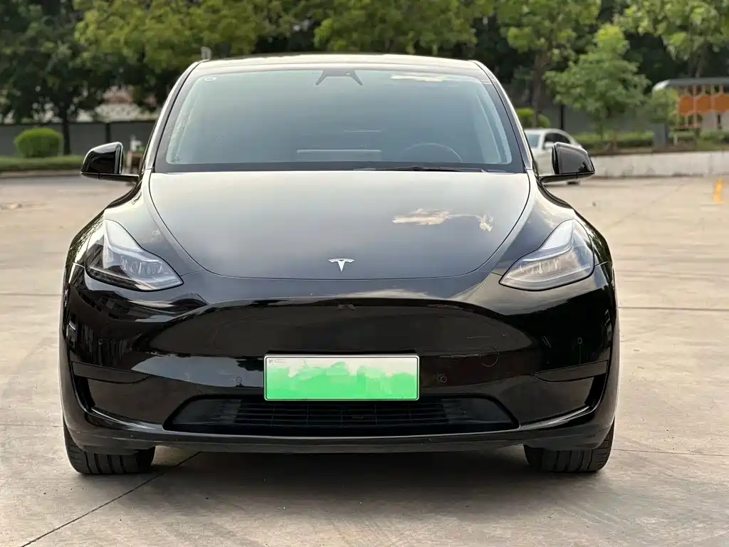 Tesla Model Y — миниатюра 2