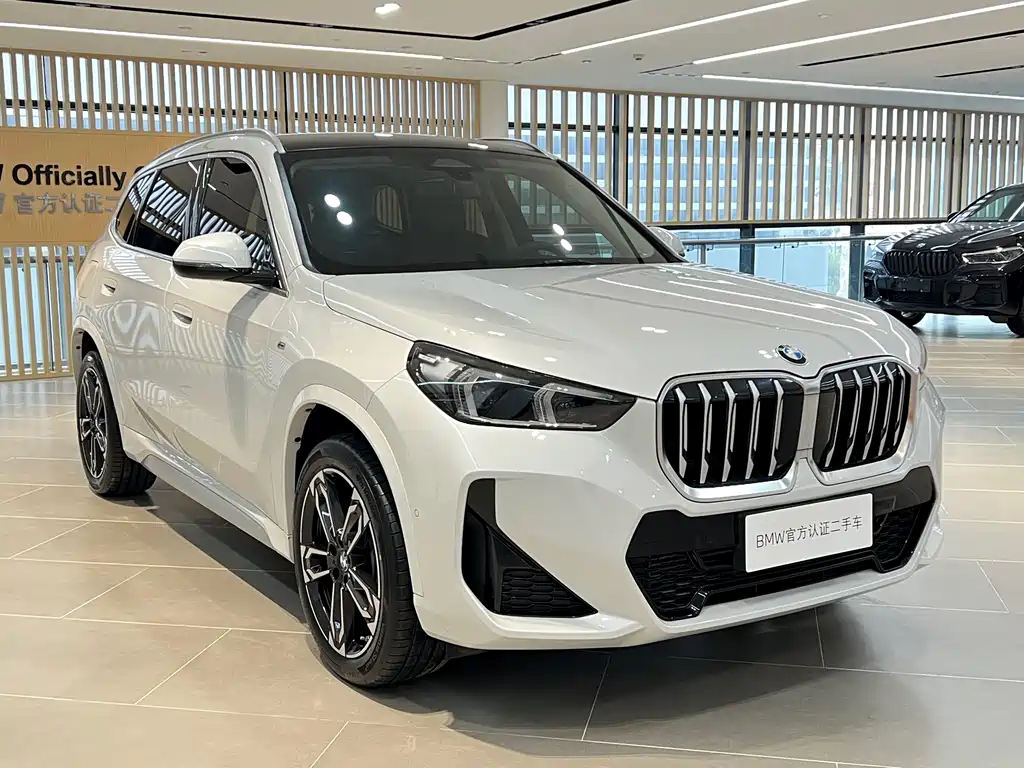 BMW X1 — миниатюра 3