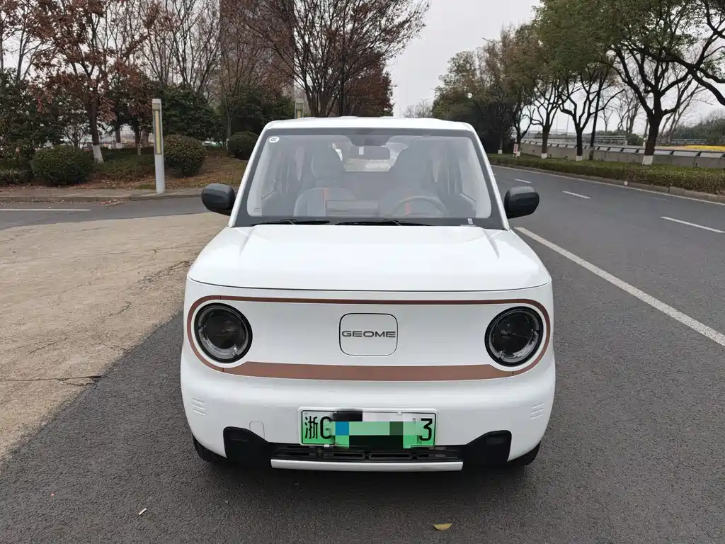 GEELY GALAXY PANDA