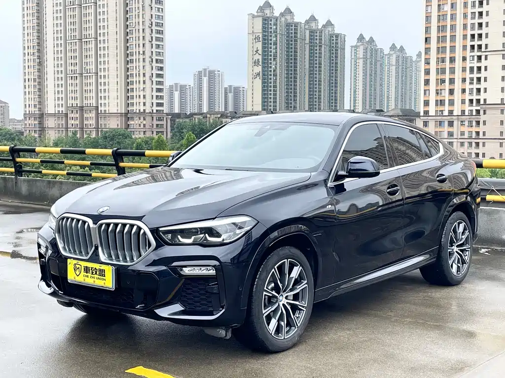 BMW X6 2021 xDrive30i M Sport