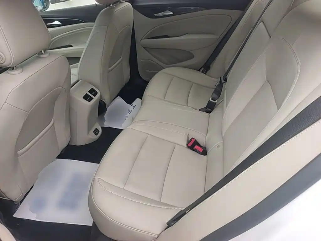 Buick Regal — миниатюра 17