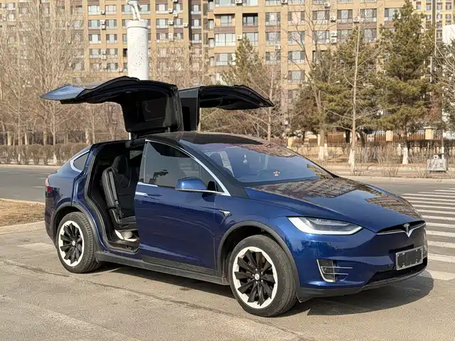 TESLA MODEL X 2017