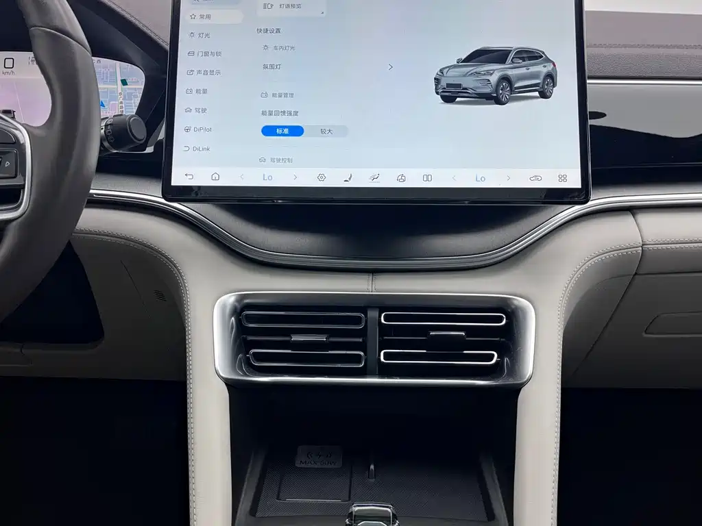 BYD PLUS New Energy — миниатюра 11