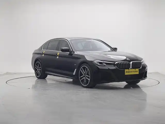 BMW 5 SERIES NEW ENERGY