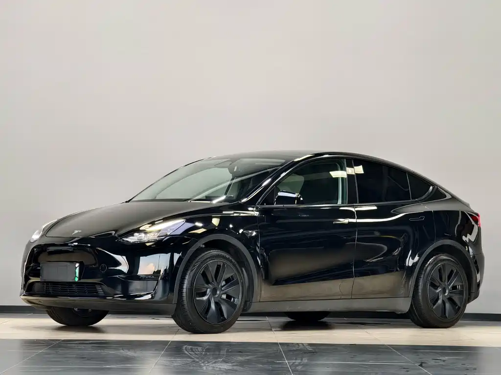 Tesla Model Y — миниатюра 5