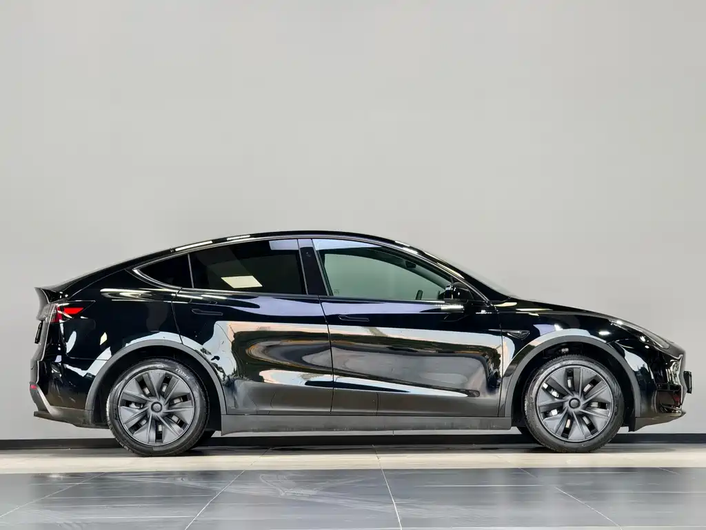 Tesla Model Y — миниатюра 8