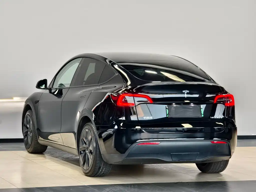 Tesla Model Y — миниатюра 6