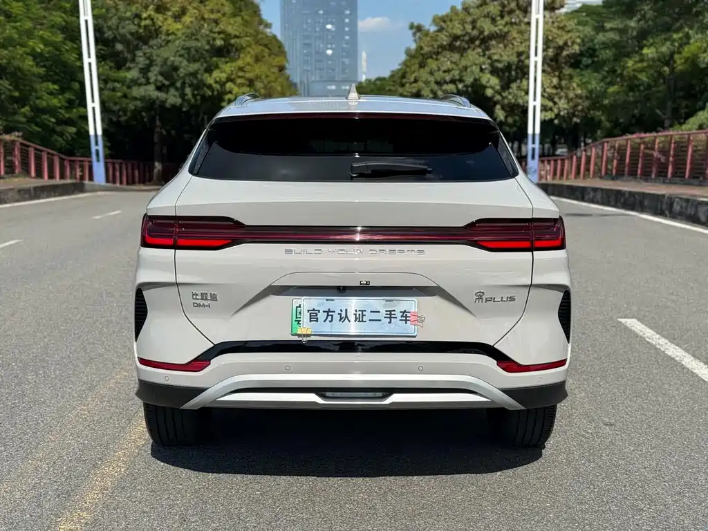 BYD PLUS New Energy — миниатюра 16