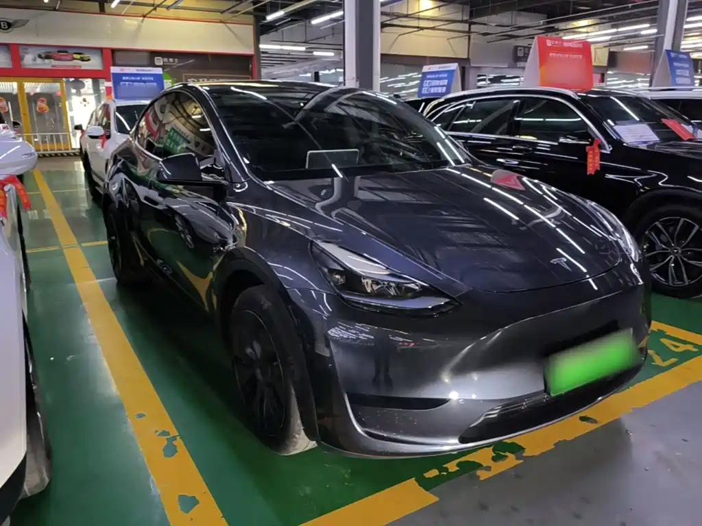 Tesla Model Y — миниатюра 4