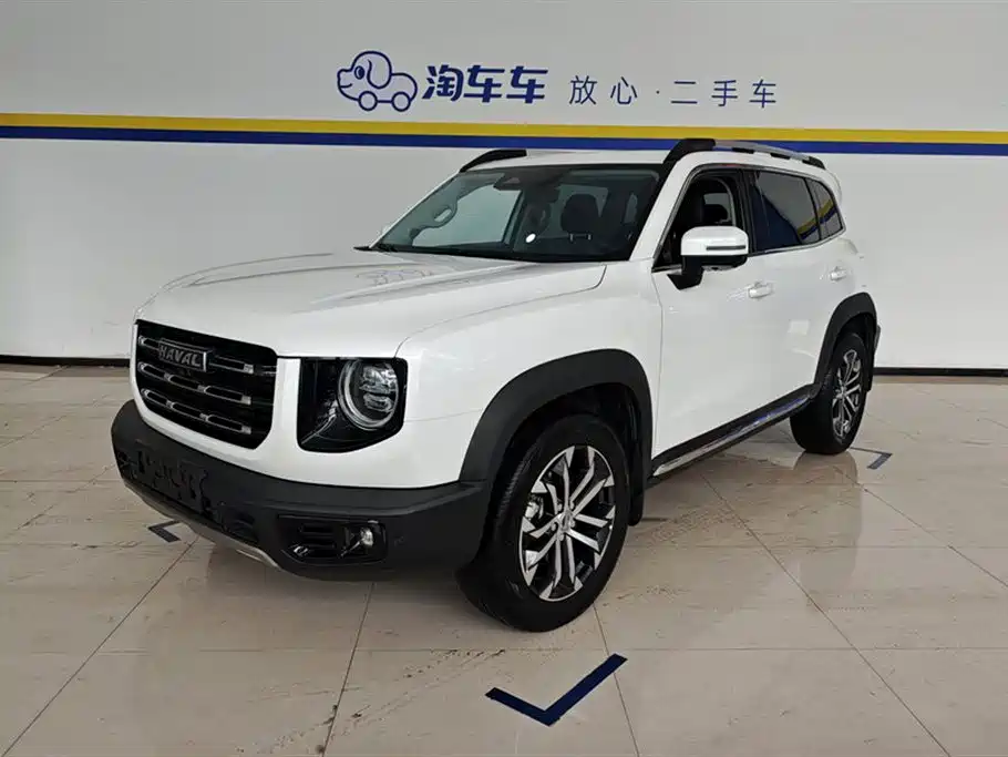 HAVAL BIG DOG
