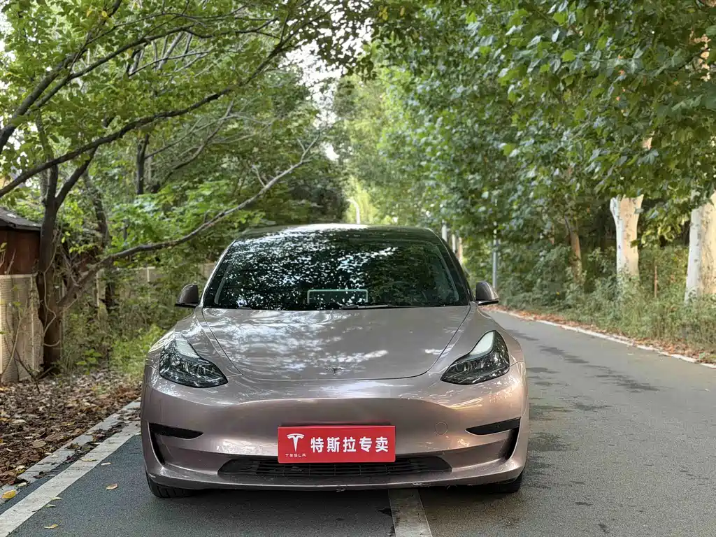 Tesla Model 3 — миниатюра 2