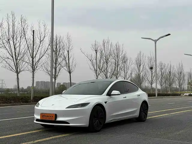 TESLA MODEL 3 2024
