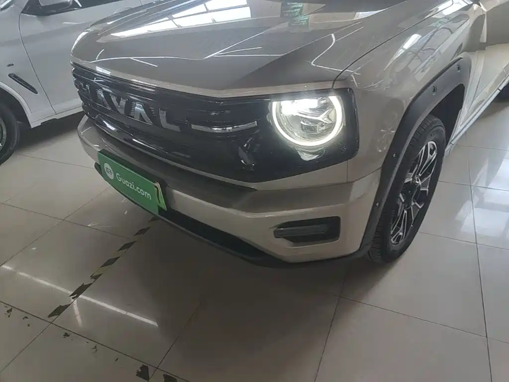 Haval Big Dog PLUS New Energy — миниатюра 24