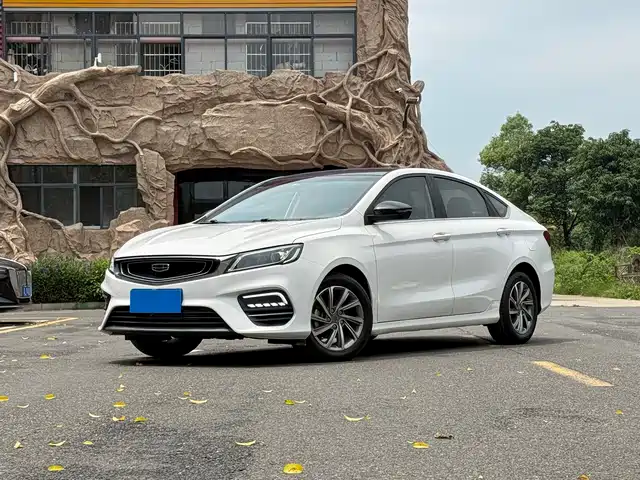 2020 Geely Binrui