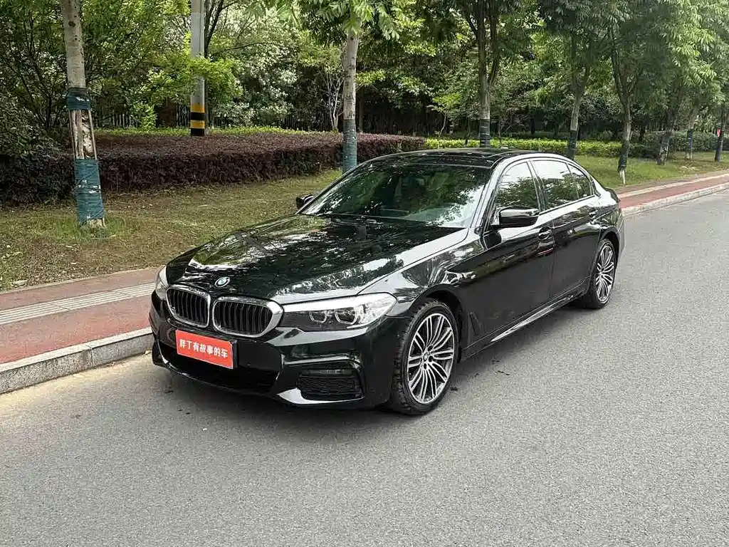 Купить BMW 5 Series