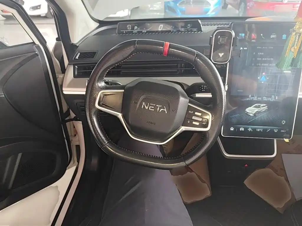 Neta Neta V — миниатюра 11