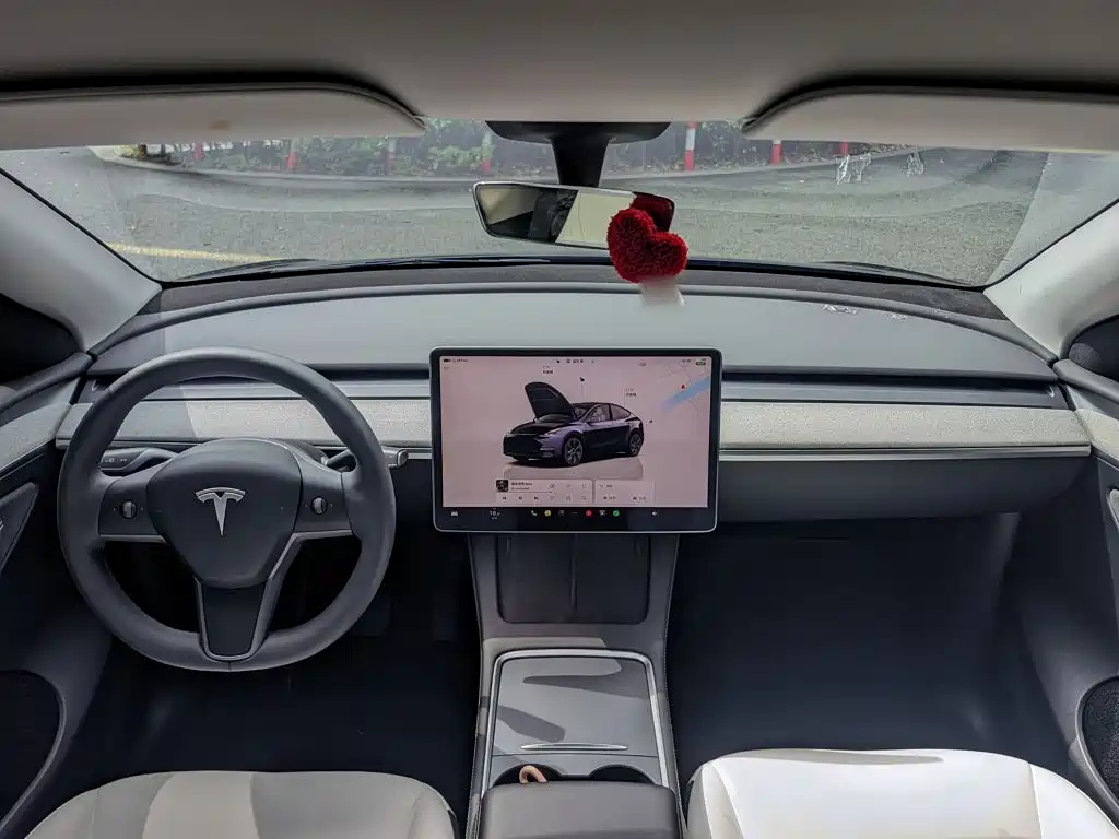 Tesla Model Y — миниатюра 20