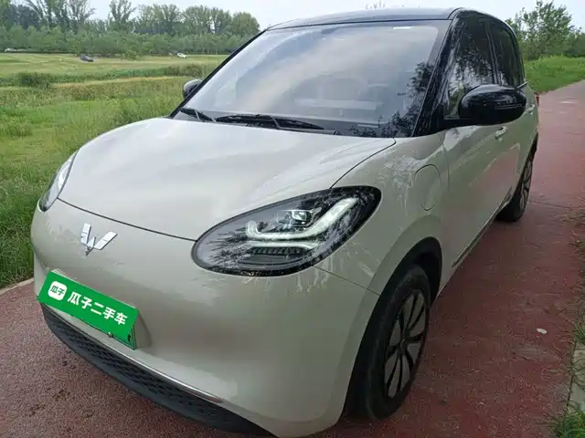 WULING AUTOMOBILE WULING BINGGUO 2024
