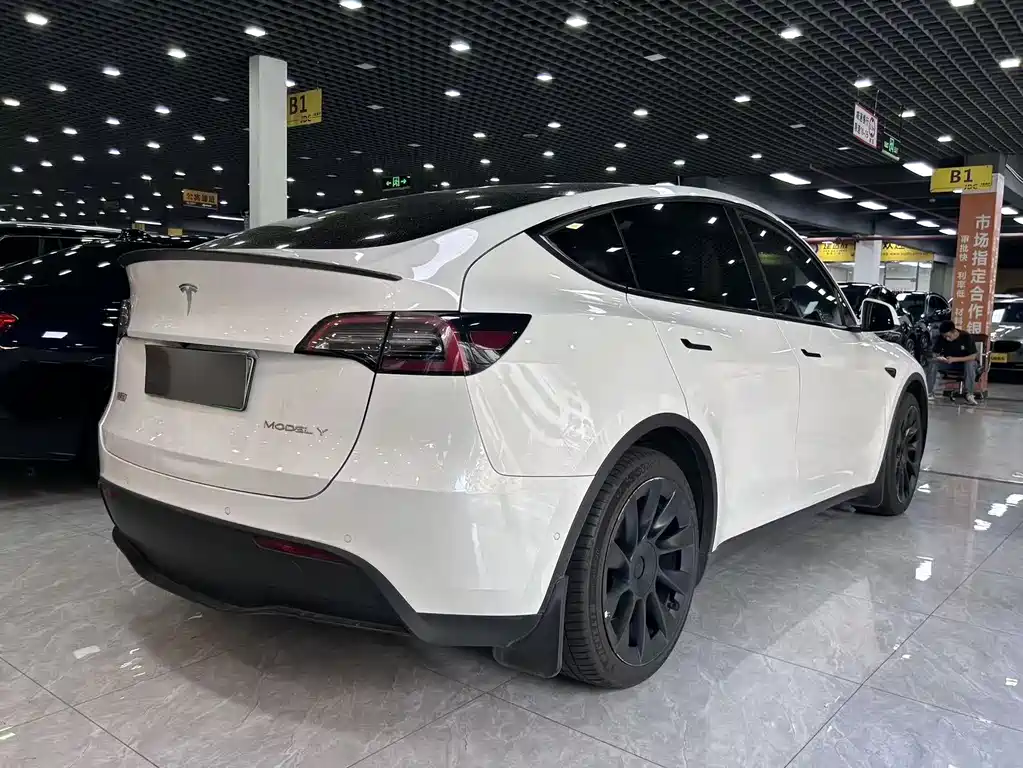 Tesla Model Y — миниатюра 8