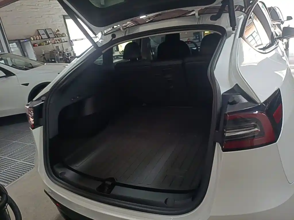 Tesla Model Y — миниатюра 19