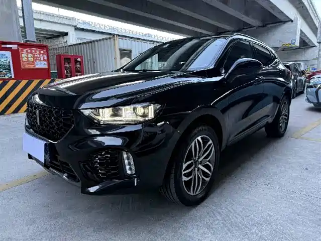 WEI PAI WEI BRAND VV5 2018