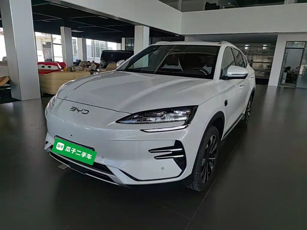 BYD PLUS New Energy — миниатюра 2