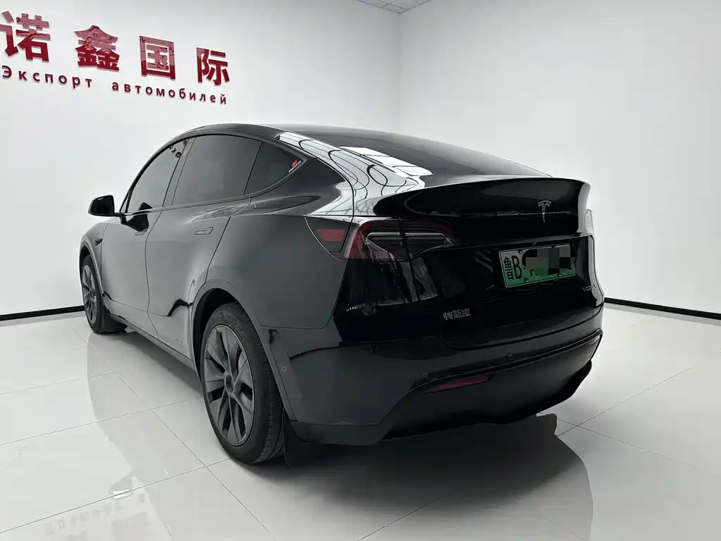Tesla Model Y — миниатюра 4