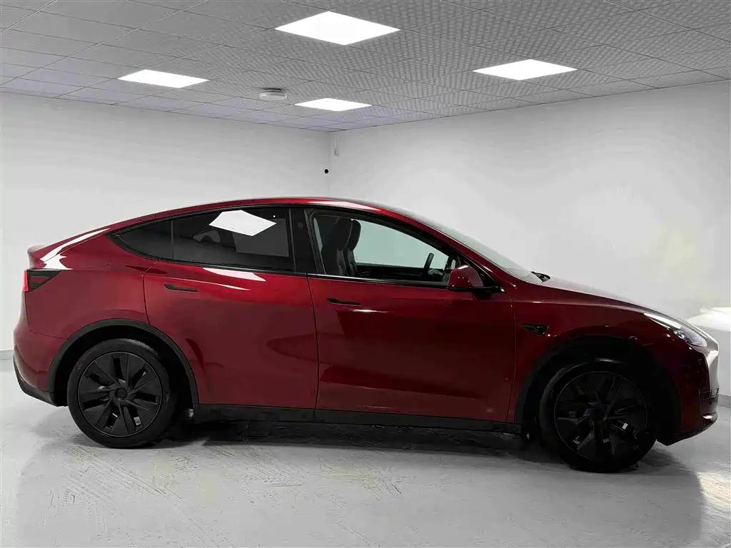 Tesla Model Y — миниатюра 3