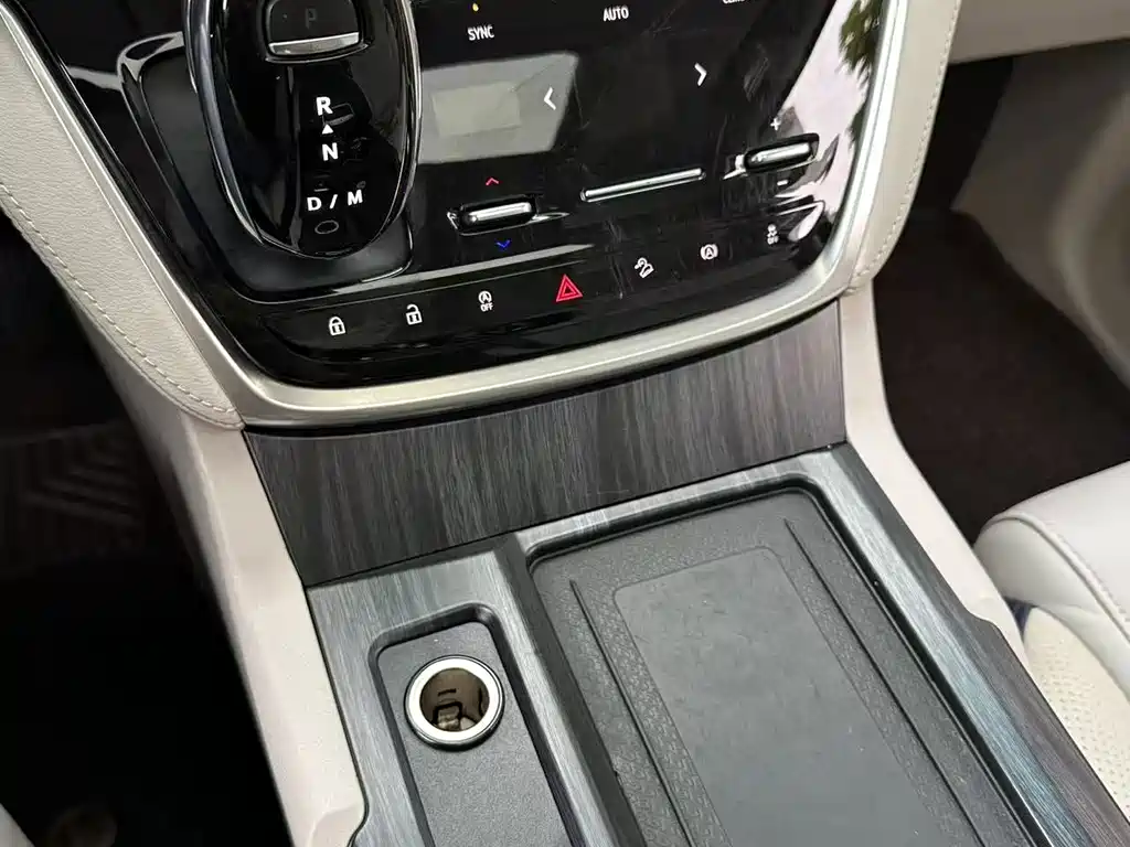 Buick GL8 — миниатюра 15