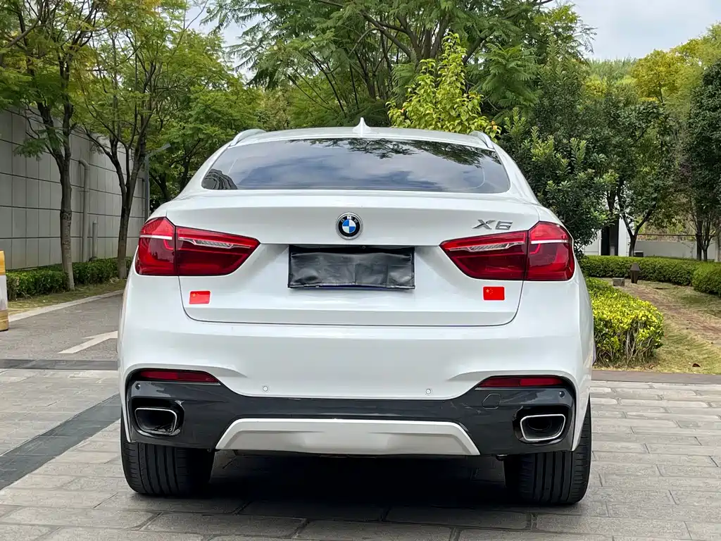BMW X6 — миниатюра 8