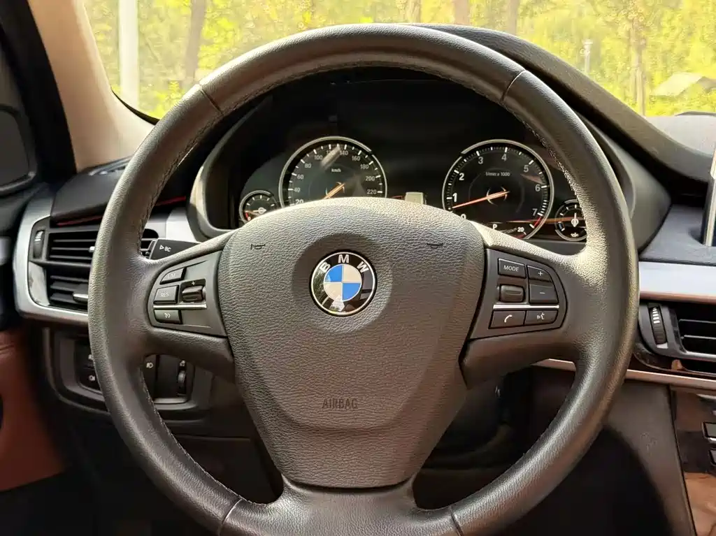 BMW X5 (Import) — миниатюра 21