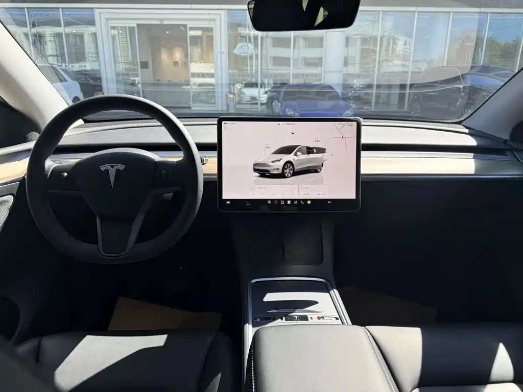 Tesla Model Y — миниатюра 5
