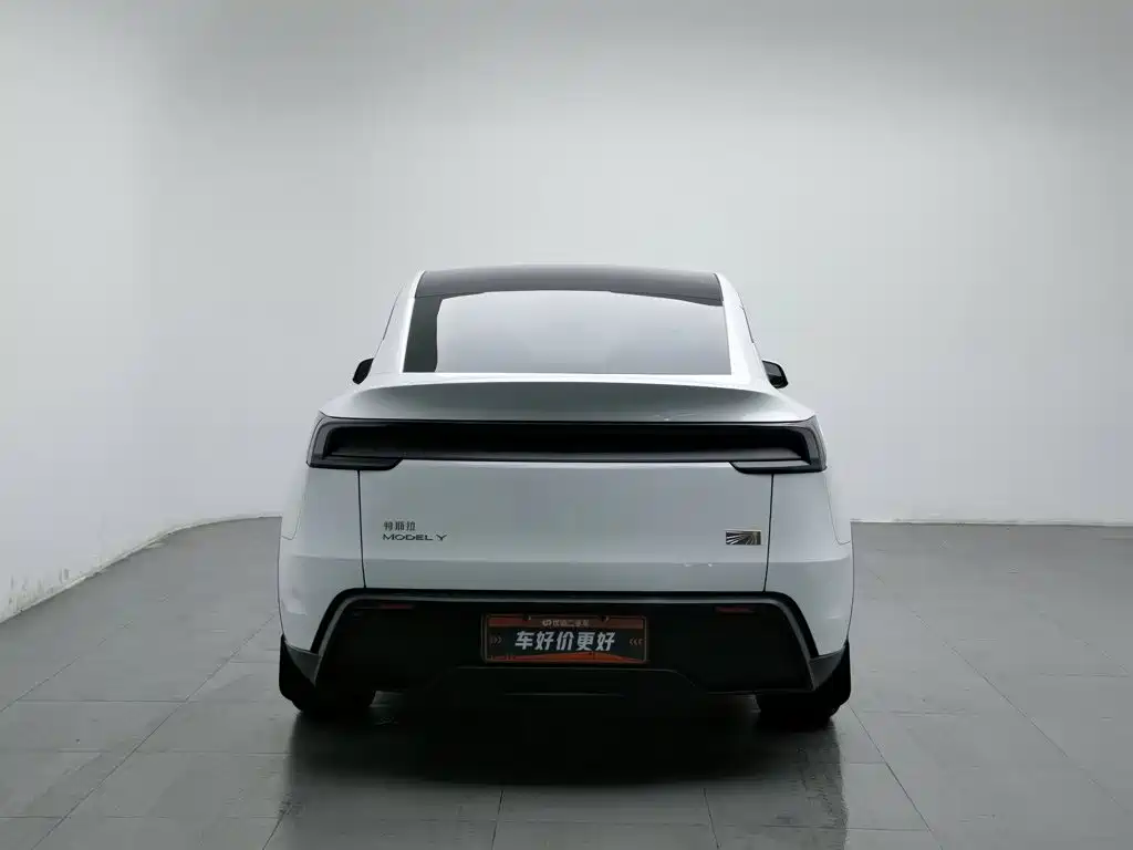 Tesla Model Y — миниатюра 4