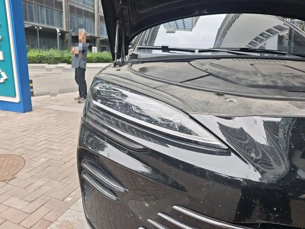 BYD PLUS New Energy — миниатюра 7