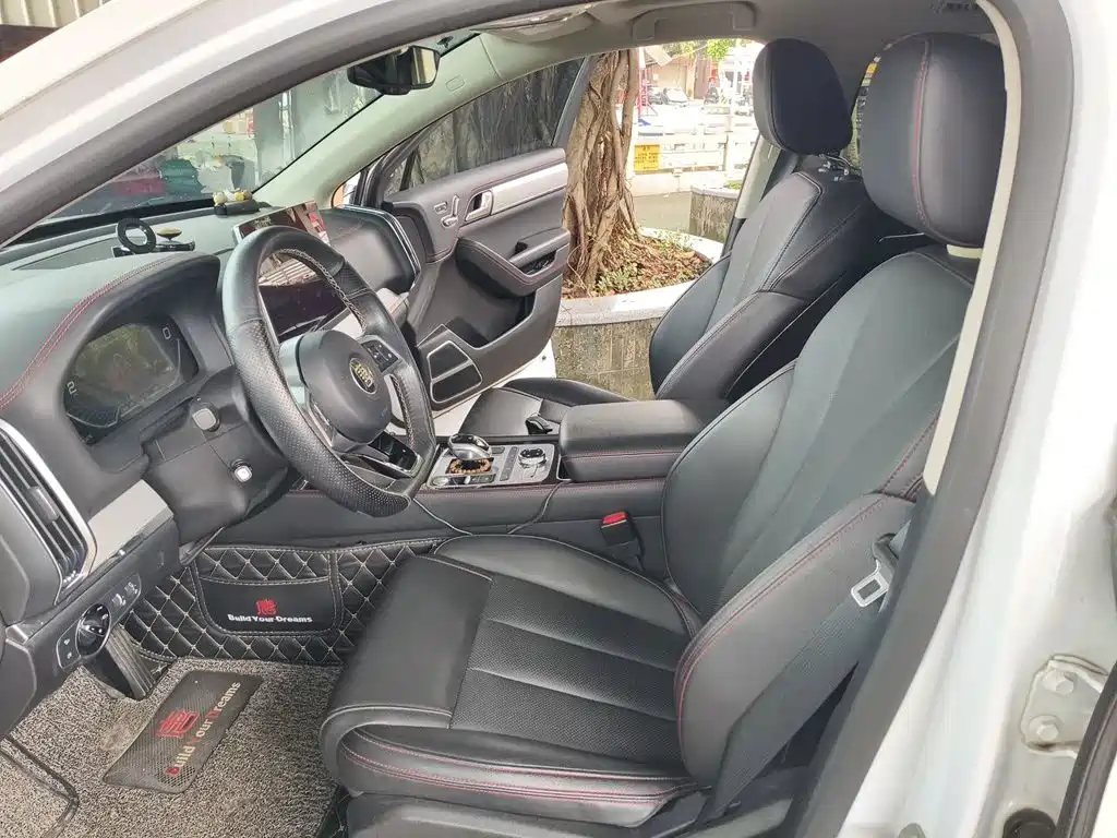 BYD Tang New Energy — миниатюра 16