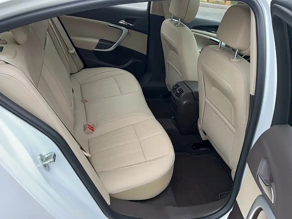 Buick Regal — миниатюра 18