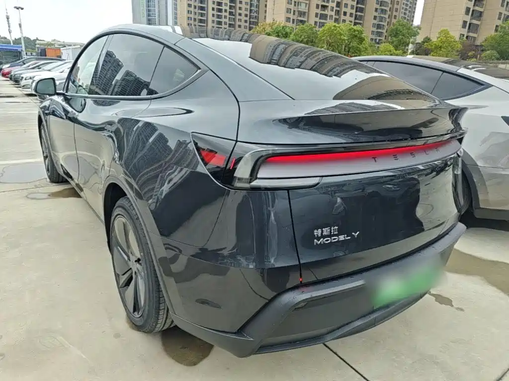 Tesla Model Y — миниатюра 5