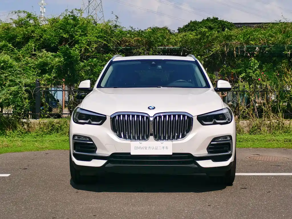 BMW X5 (Import) — миниатюра 2