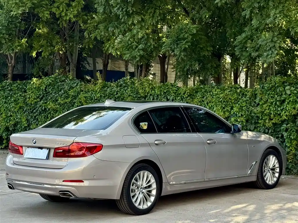 BMW 5 Series 5 2019 530Li Premium Luxury